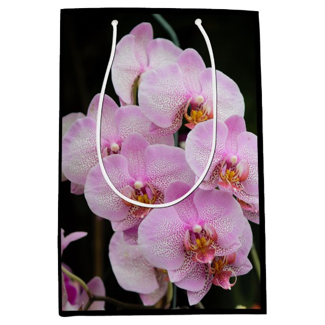 Pink Orchids Medium Gift Bag (Front)