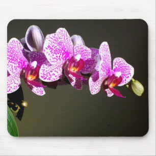 Pink Orchids Mouse Mat