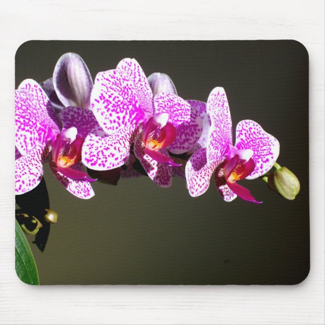 Pink Orchids Mouse Mat (Front)