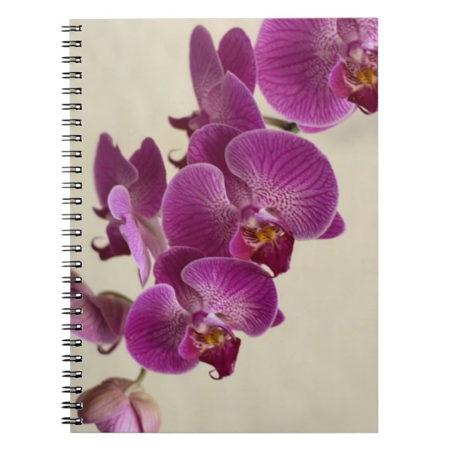 Pink Orchids Notebook (Front)
