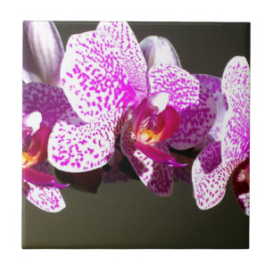 Pink Orchids romantic pink tropical floral photo Tile
