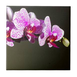 Pink Orchids, romantic tropical floral Tile