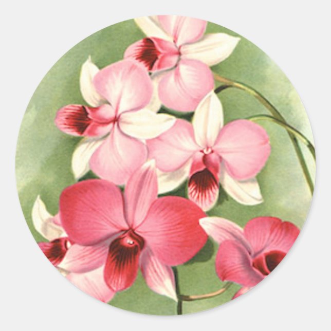 Pink Orchids - Sticker (Front)