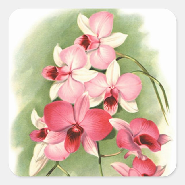 Pink Orchids - Sticker (Front)