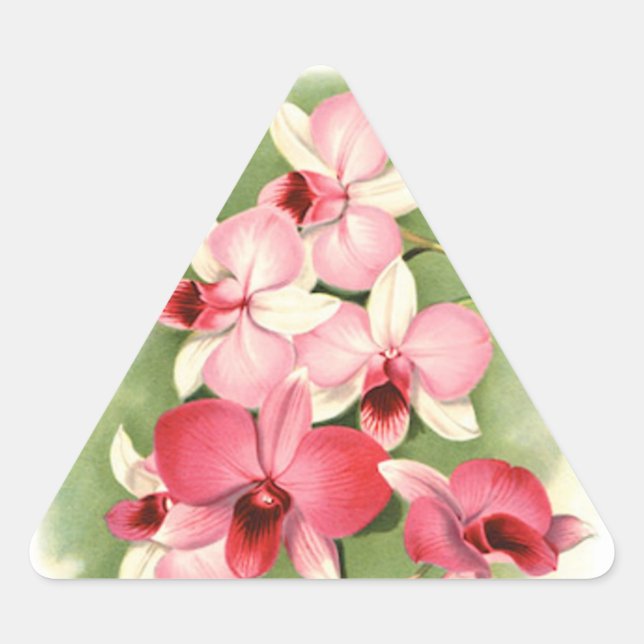 Pink Orchids - Sticker (Front)