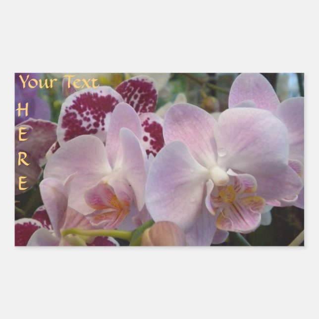 Pink Orchids stickers. *personalise* Rectangular Sticker (Front)