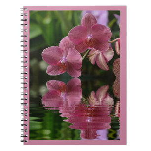 Pink Orchids With Reflections Notebook