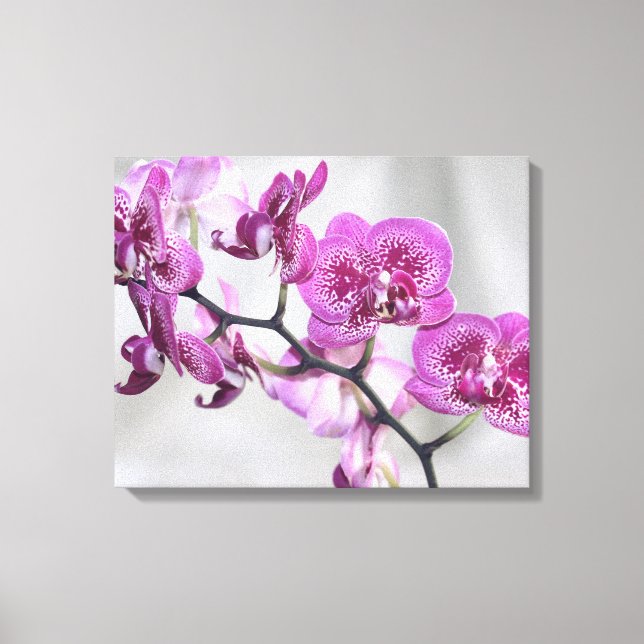 Pink Orchids Wrapped Canvas (Front)