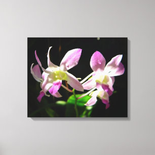 Pink Orchids Wrapped Canvas