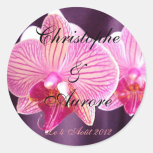 Pink orchis Sticker phalaénopsis