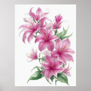 Pink Oriental Lily Flowers Poster