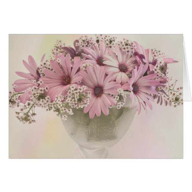 Pink Osteospernum Card (Front Horizontal)