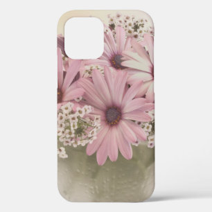 Pink Osteospernum iPhone 12 Case