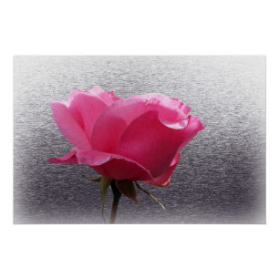 pink over grey poster