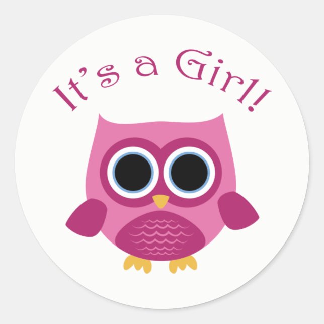 Pink Owl Baby Shower Stickers - It's a Girl! (Front)