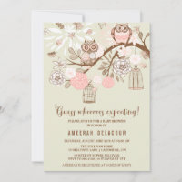 Pink Owls and Birdcages Baby Shower Invitation