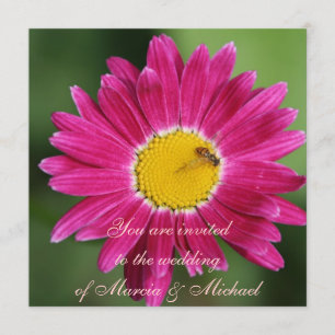 Pink Painted Daisy Invitation