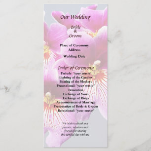 Pink Pansy Orchids Wedding Program Programme
