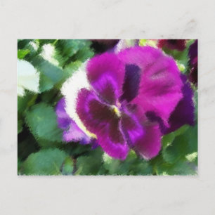 Pink Pansy Postcard