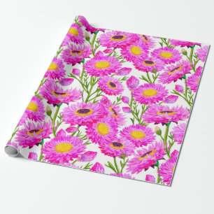 Pink Paper Daisies Floral Blooms