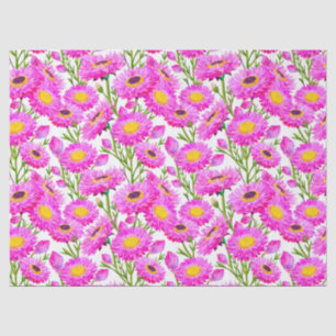 Pink Paper Daisies Floral Blooms