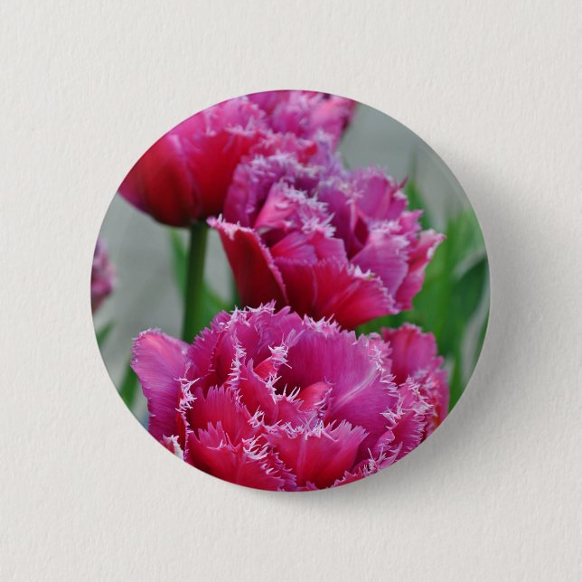 Pink parrot tulips 6 cm round badge (Front)