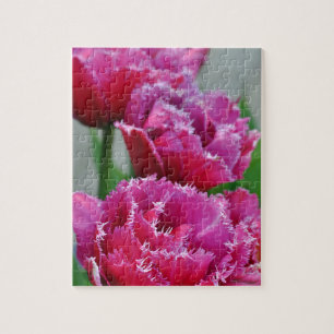 Pink parrot tulips jigsaw puzzle