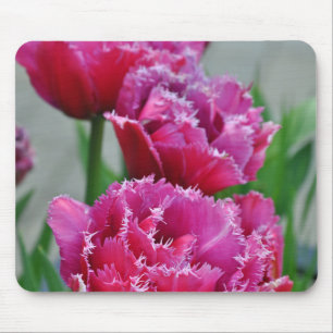 Pink parrot tulips mouse mat