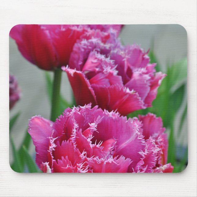 Pink parrot tulips mouse mat (Front)