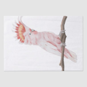 Pink Parrot Watercolor Art Tissue Paper