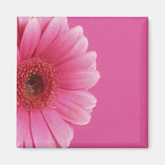 Pink Passion Magnet