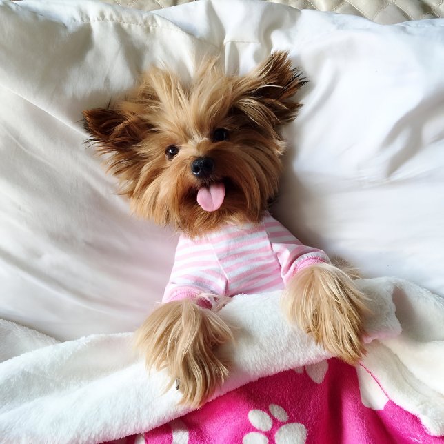 Pink Paw Print Blanket Great for Dogs (Pink personalized dog blanket for puppy dog lovers)