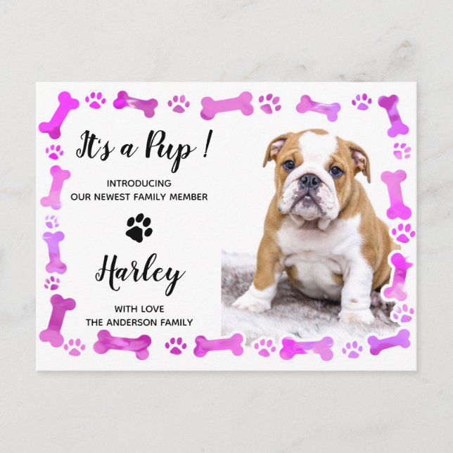 Pink Paw Prints Bones New Pet Dog Puppy Announcement Postcard (Front)