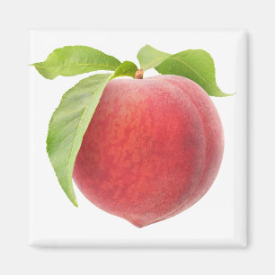 Pink peach magnet
