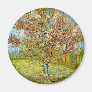 Pink Peach Tree in Blossom Reminiscence of Mauve Magnet