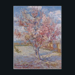 Pink Peach Tree in Blossom (Reminiscence of Mauve) Postcard<br><div class="desc"></div>