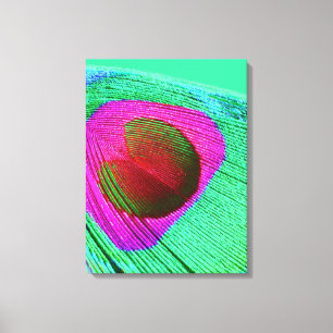 Pink Peacock Feather Canvas Print