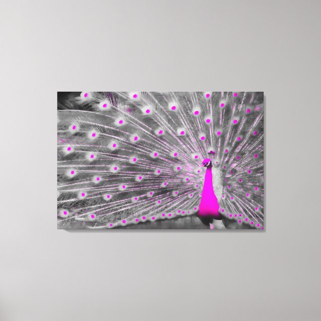 Pink Peacock Wrapped Canvas (Front)