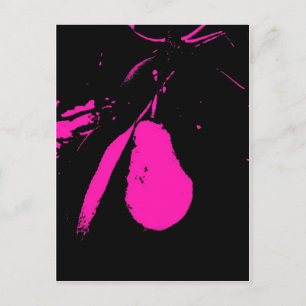 Pink Pear Abstract Photograph Postcard