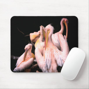 Pink Pelicans Mouse Mat