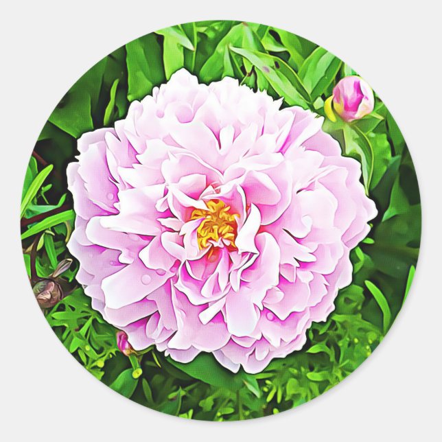 Pink Peonie Floral Stickers (Front)