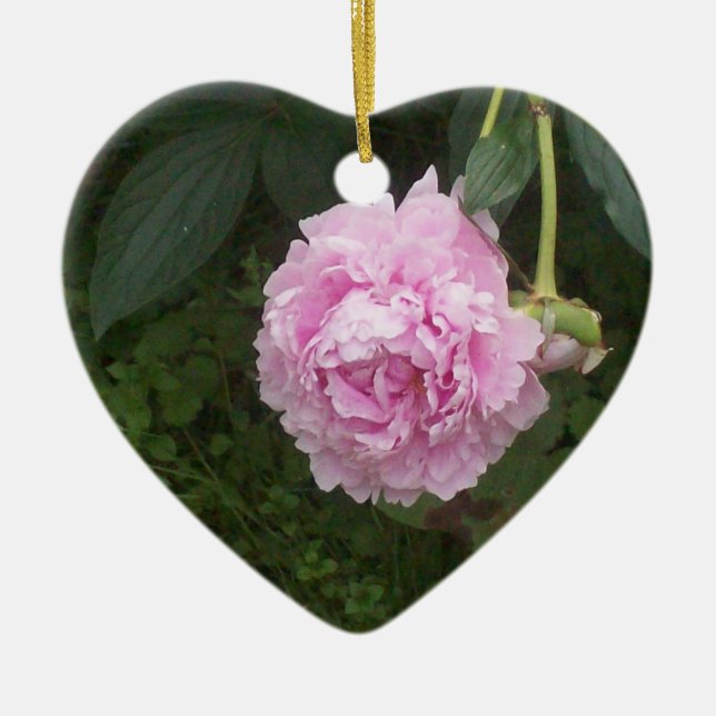Pink Peonies Ceramic Tree Decoration (Front)
