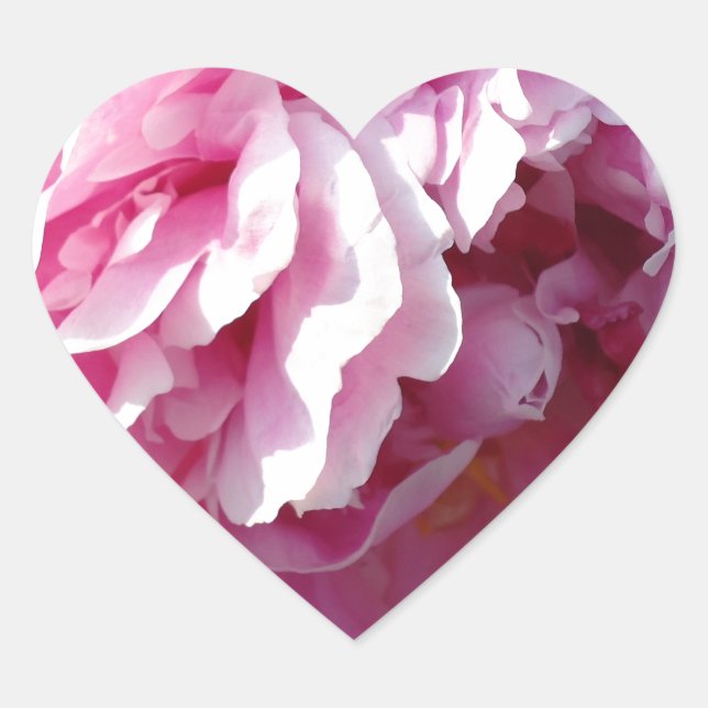 Pink Peonies Heart Sticker (Front)