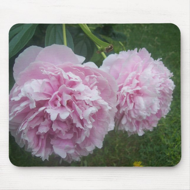 Pink Peonies Mouse Mat (Front)