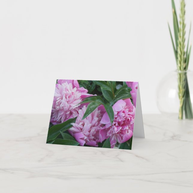 Pink Peonies Note Card (Front)
