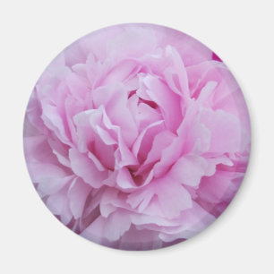 Pink Peonies / Peony Magnet
