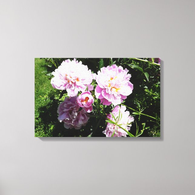 Pink Peonies  Photography Wall Art (Front)