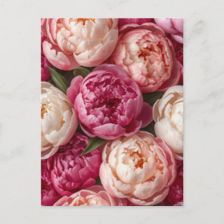 Pink peonies postcard