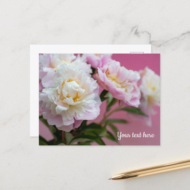 Pink Peonies Postcard (Front/Back In Situ)