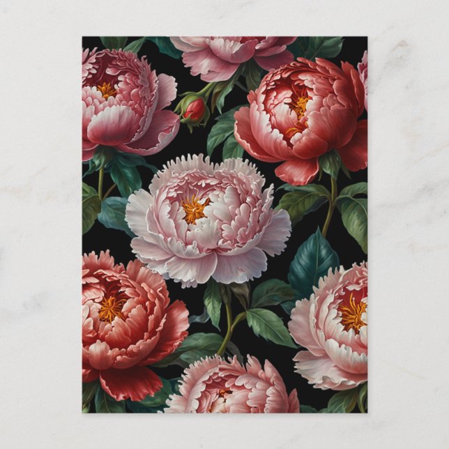 Pink peonies postcard (Front)